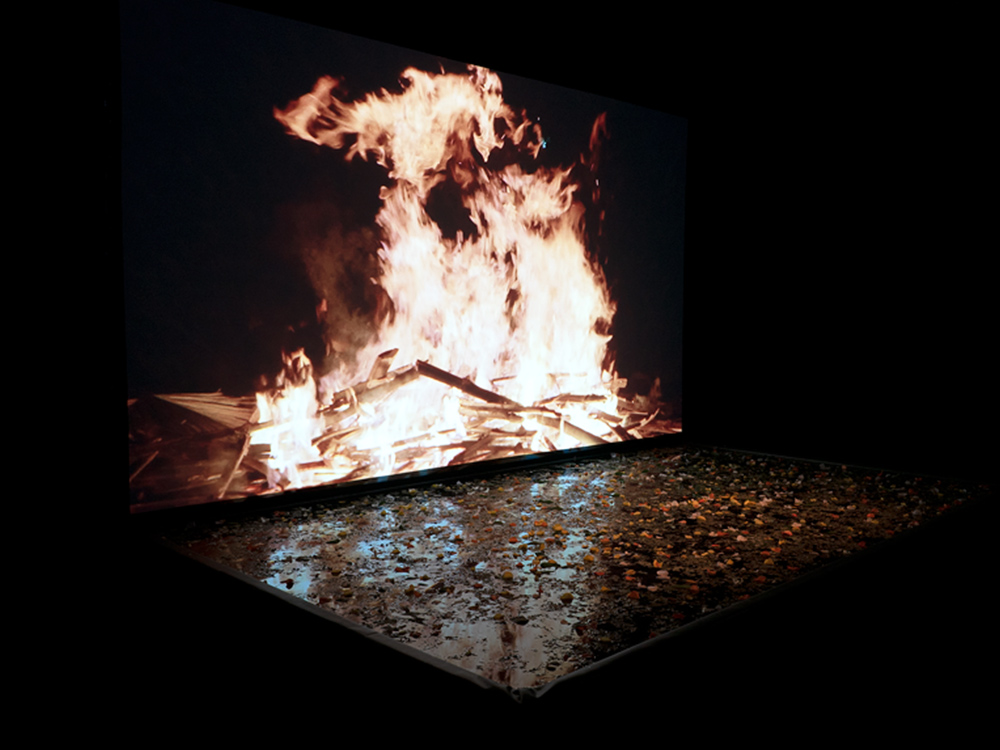 On a screen, a fire blazes. Below, a bush bath filled with petals reflects the flames