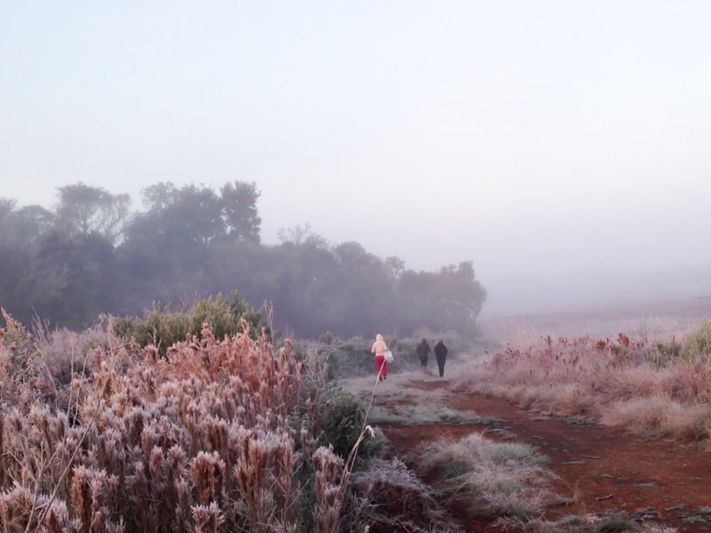 A group of people walk through grassy foggy grassy fields on the edge of the jungle