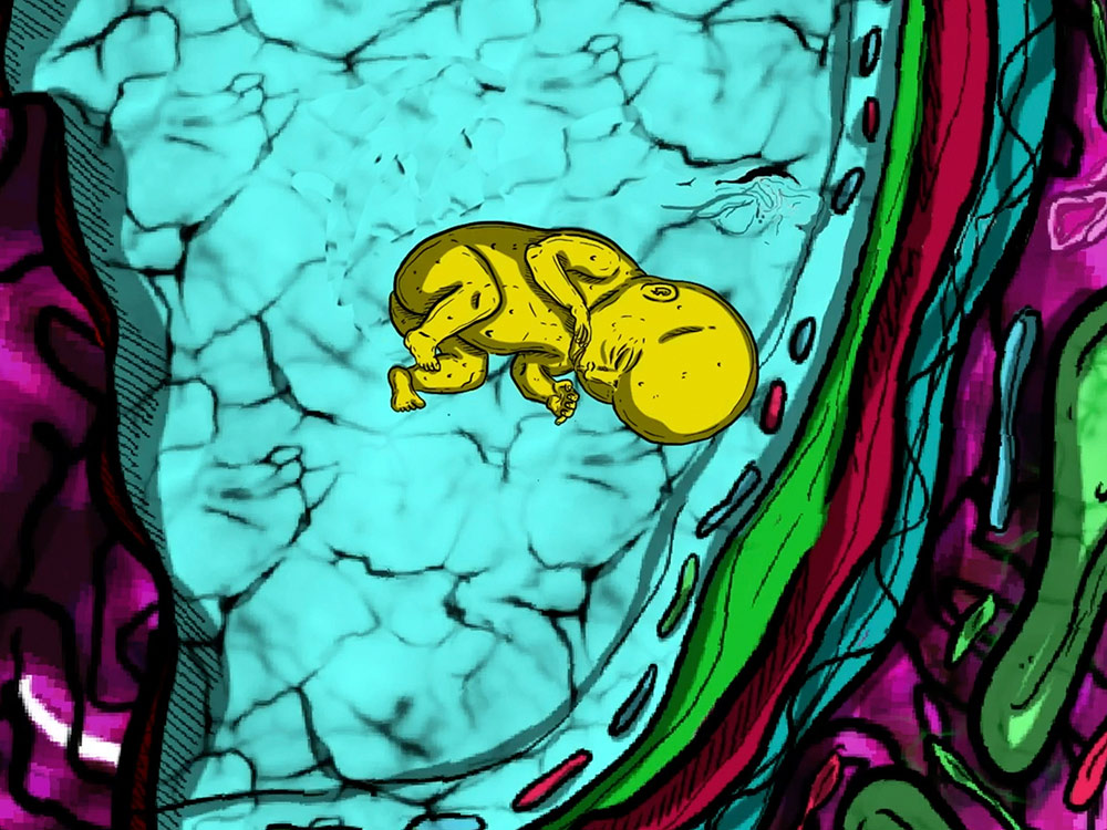 A small yellow baby floats among colourful cells and liquids
