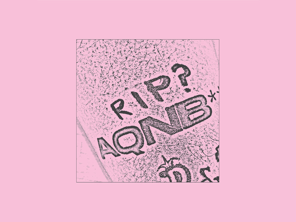 A small square against pink - the words 'RIP? AQNB', photocopied onto a small image 