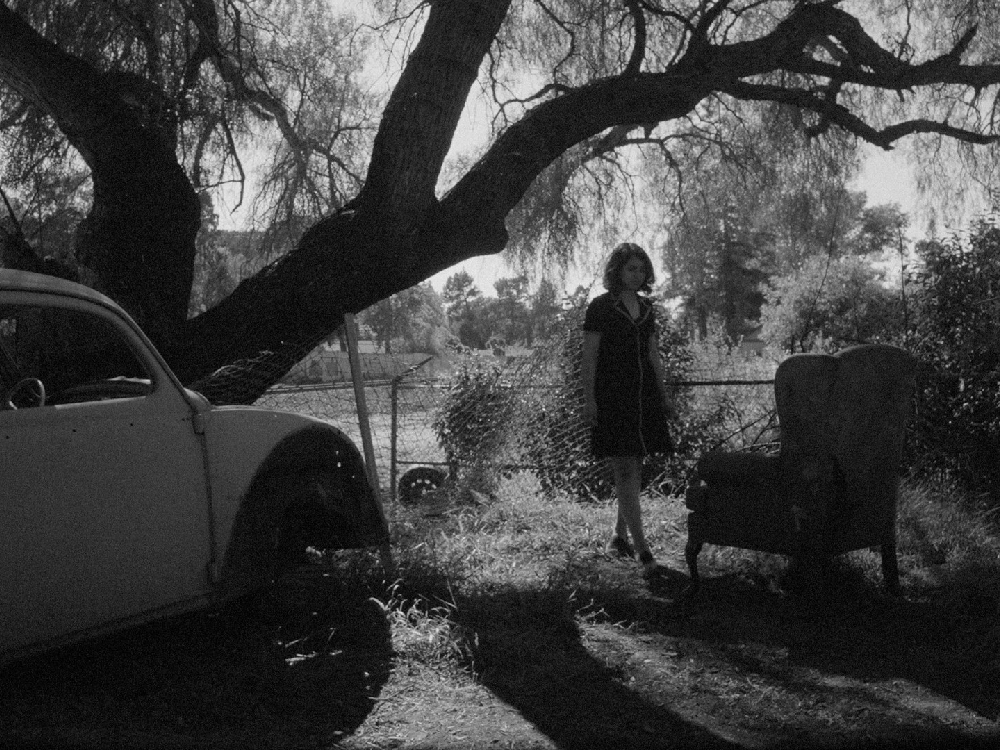 A black and white image of an outside yard space. There is an armchair, a broken car and a tree, Donya stands between the three, looking down.